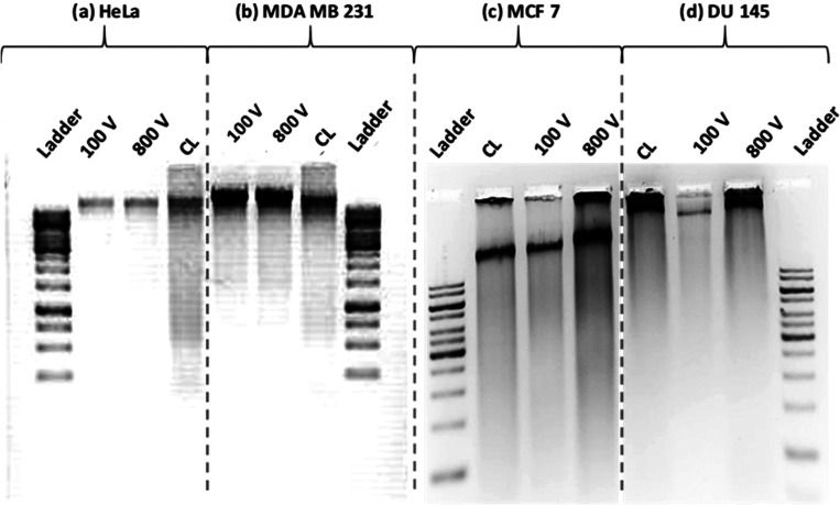 FIG. 11.