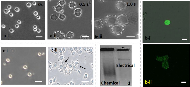 FIG. 9.