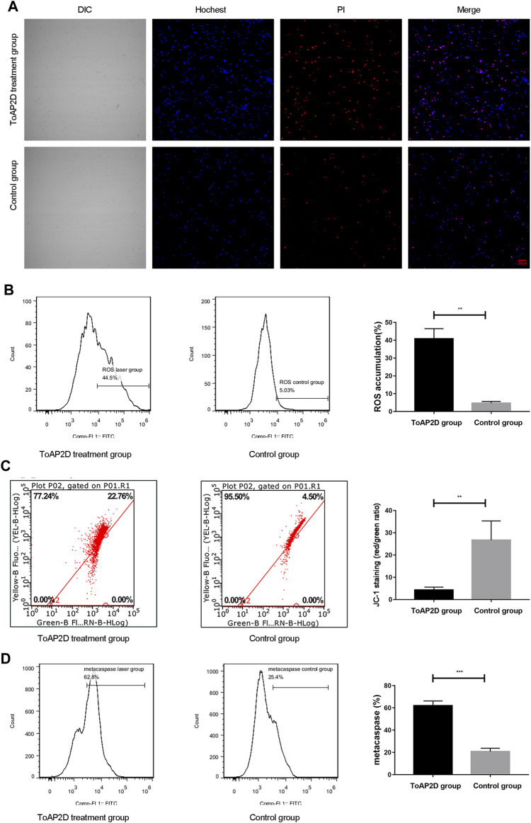 FIGURE 4