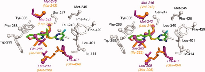 Figure 5