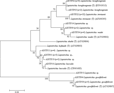 Fig 2