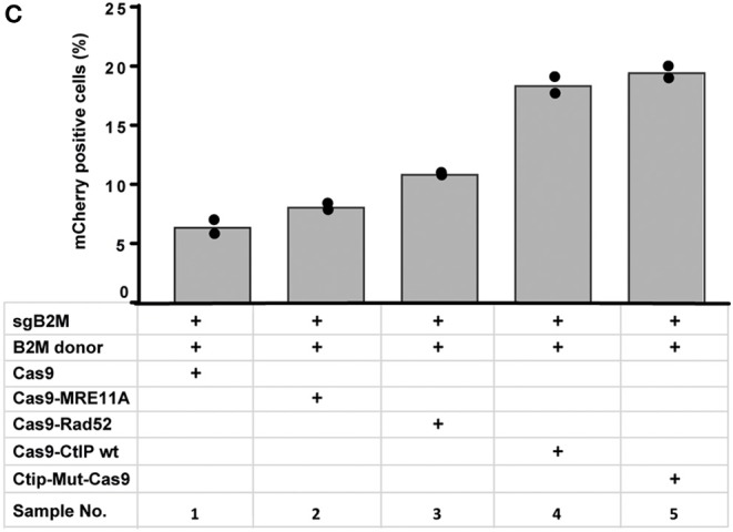 Figure 4C