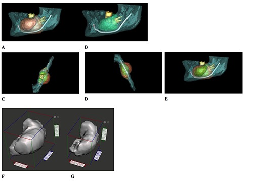 Figure 7.