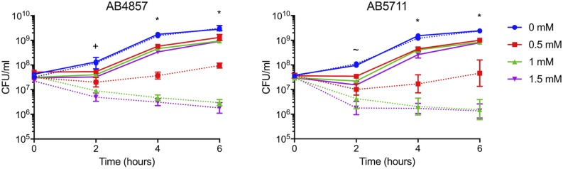 FIGURE 4