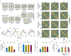 Extended Data Figure 2:
