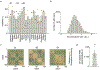 Extended Data Figure 1: