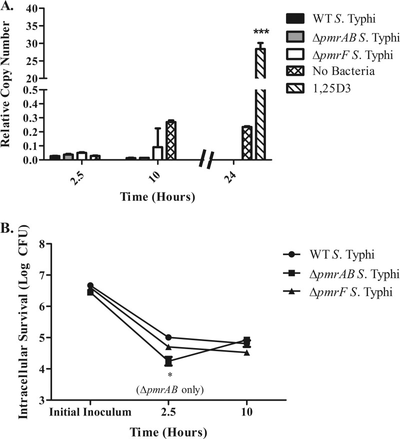 Fig 6