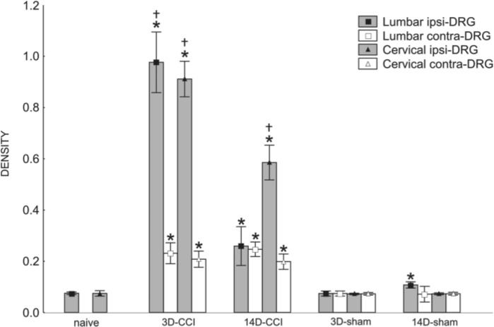 Figure 10.