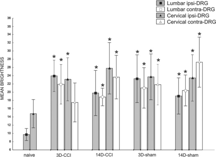 Figure 6.