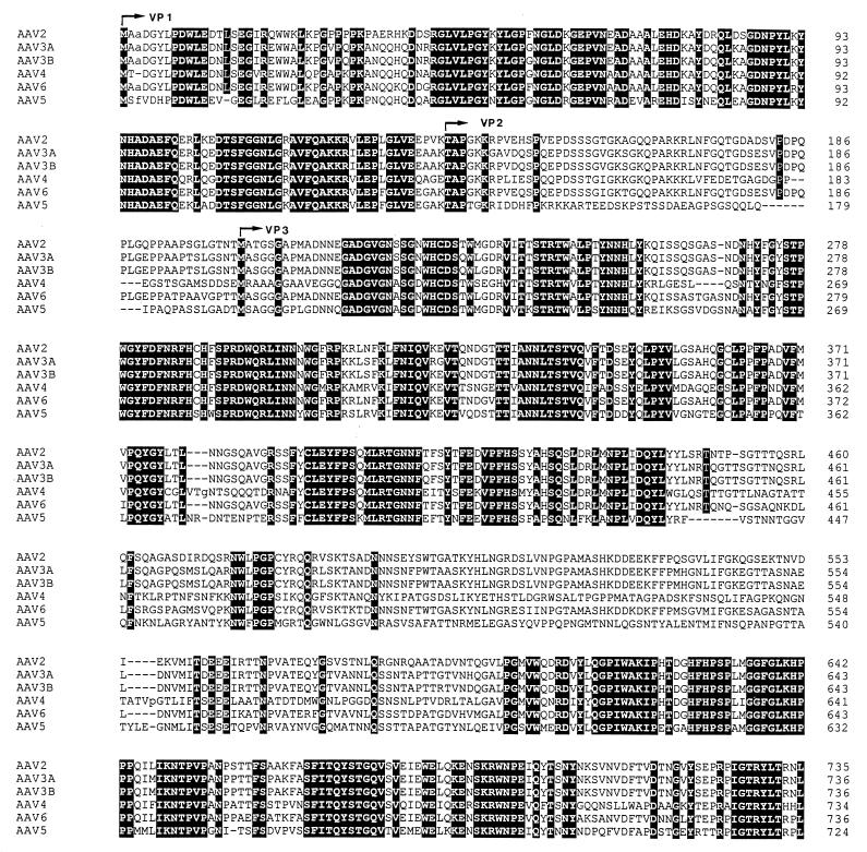 FIG. 6