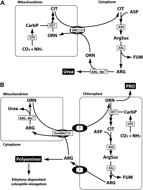 Figure 9.