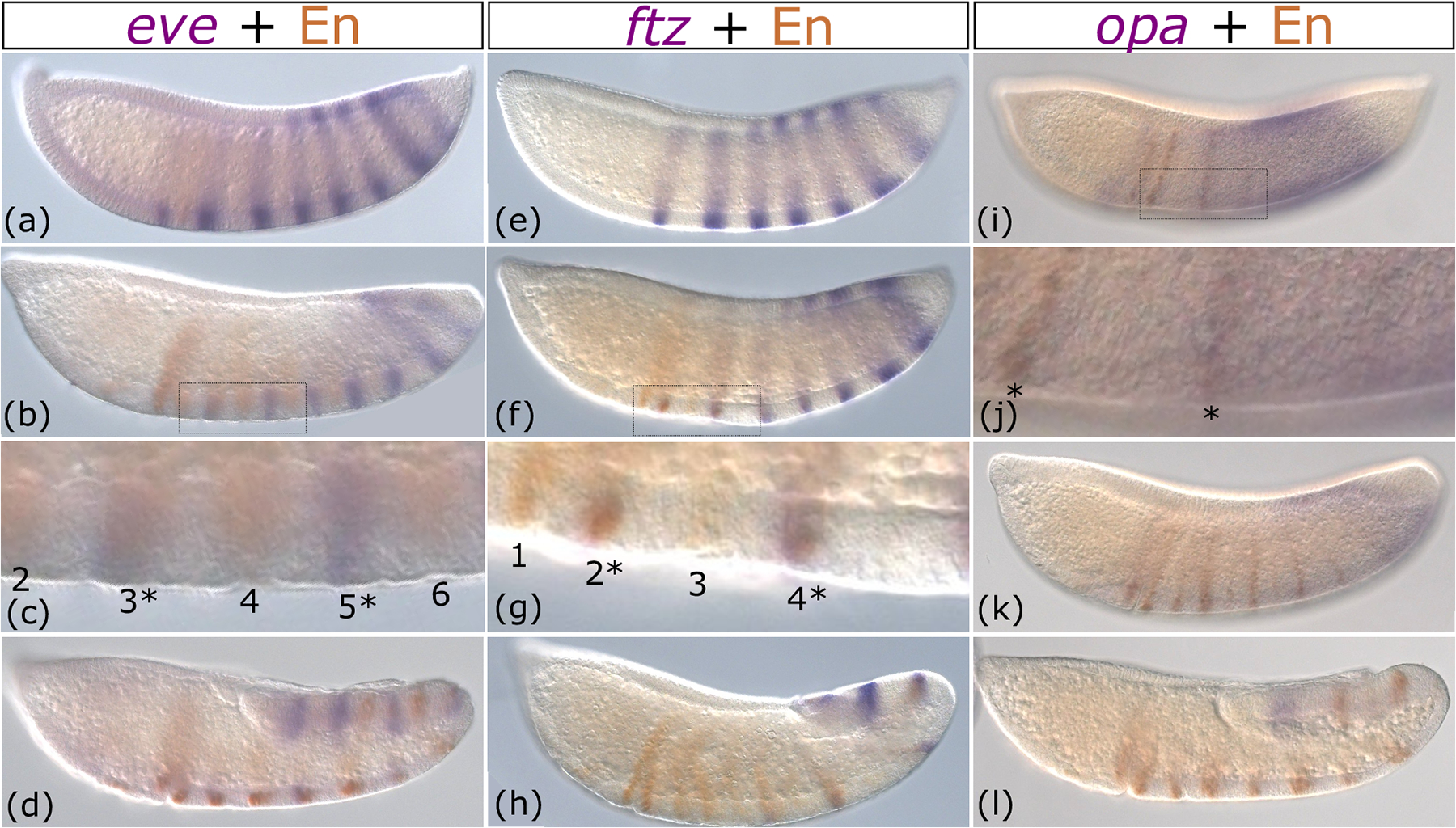 Figure 5: