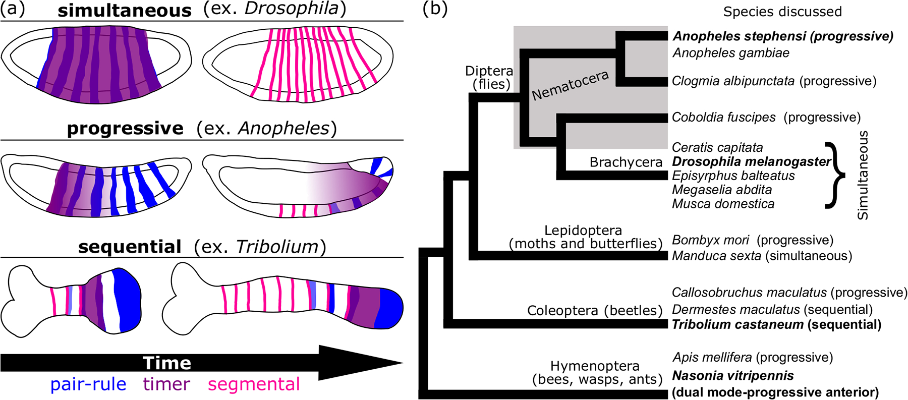 Figure 6: