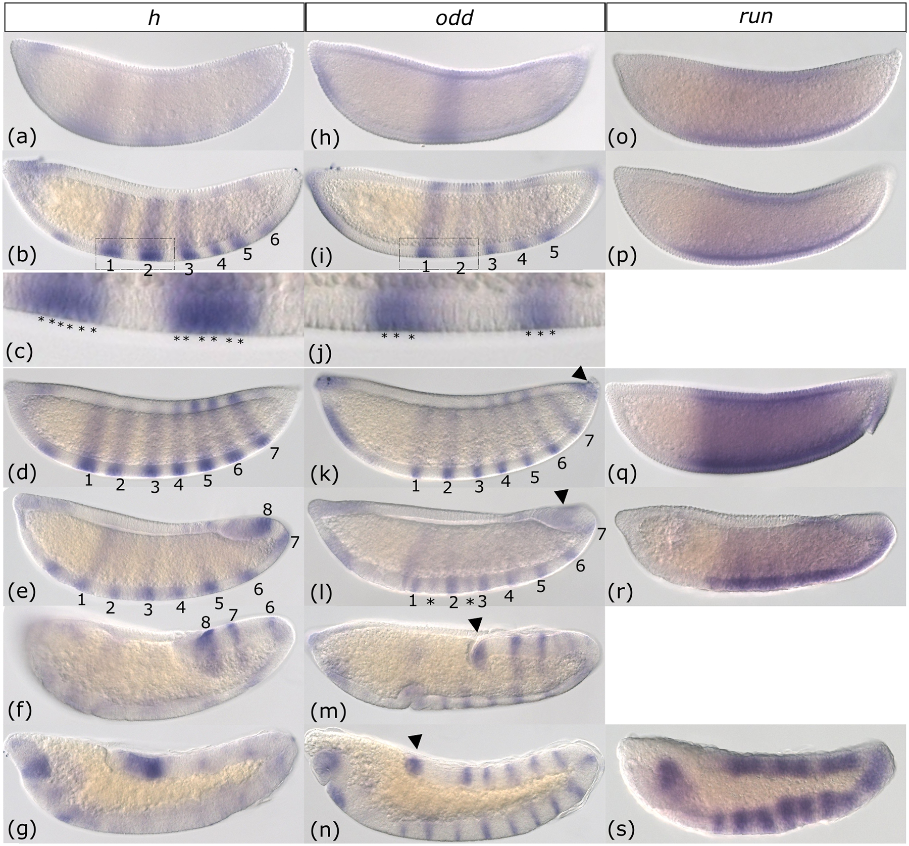 Figure 4: