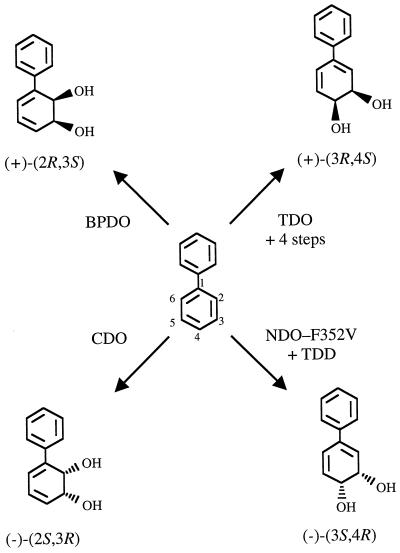 FIG. 5