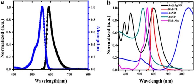 Fig. 3