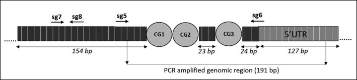 FIGURE 1