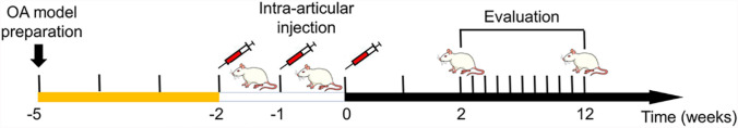 Fig. 3