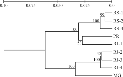 Figure 2