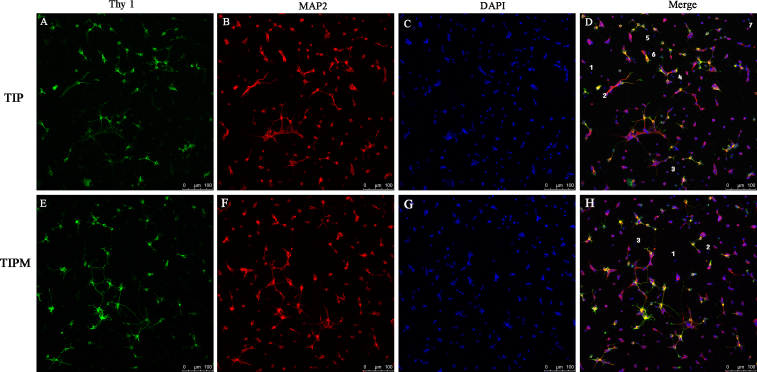 Figure 7