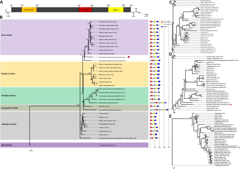 FIGURE 2