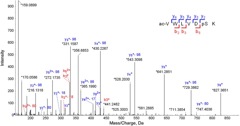 Figure 1.