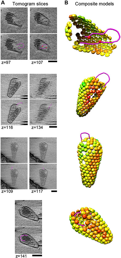 Fig. 4.