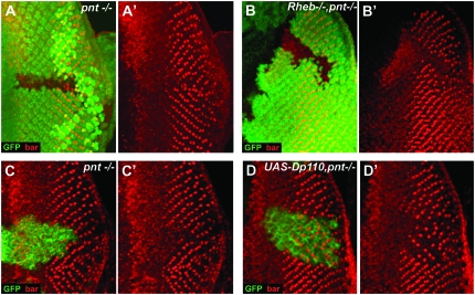 Figure 6.—