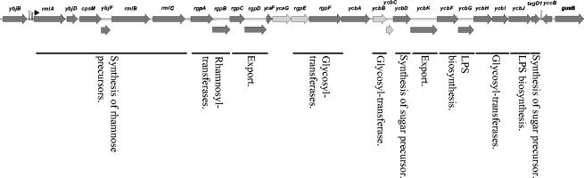 FIG. 4.