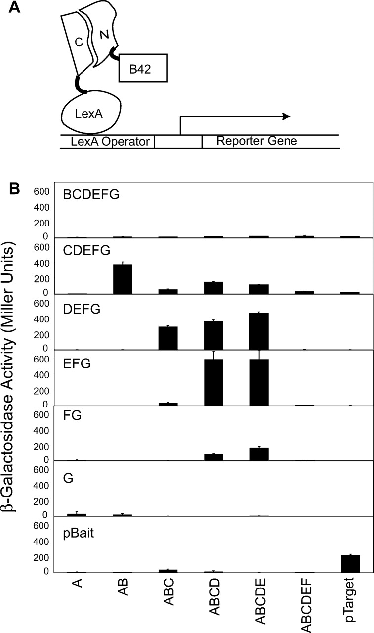 Figure 2.