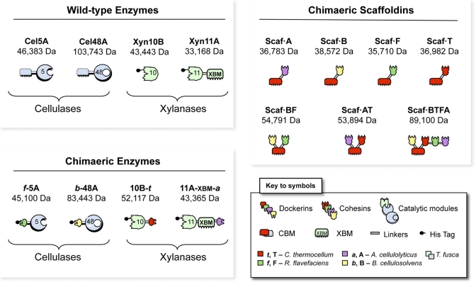 FIG 1 