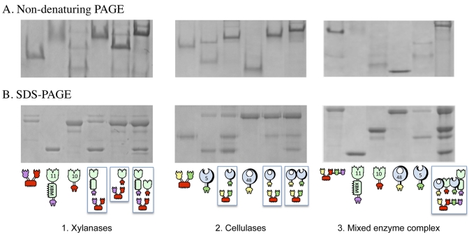 FIG 2 