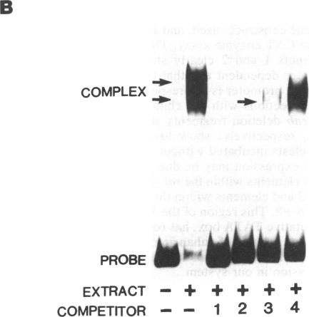 graphic file with name pnas01029-0158-a.jpg