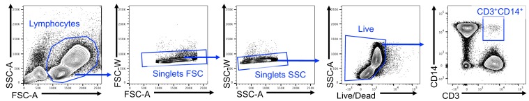 Figure 1—figure supplement 2.