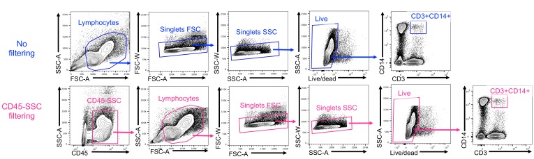 Figure 3—figure supplement 1.