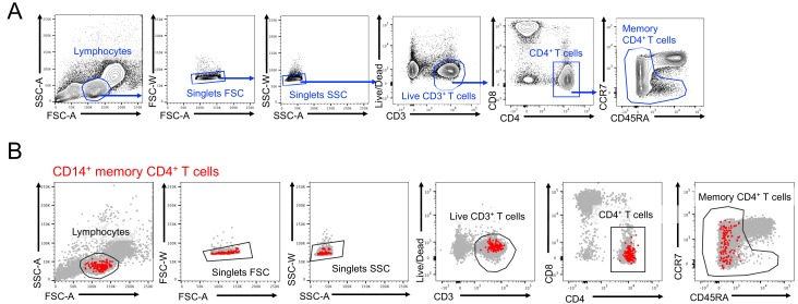 Figure 1—figure supplement 1.