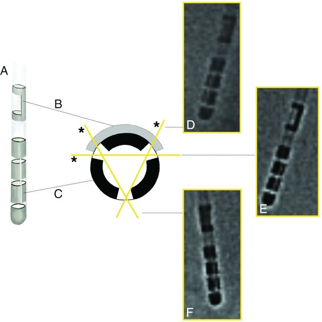 Fig 3.