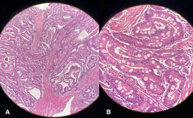 Fig. 7