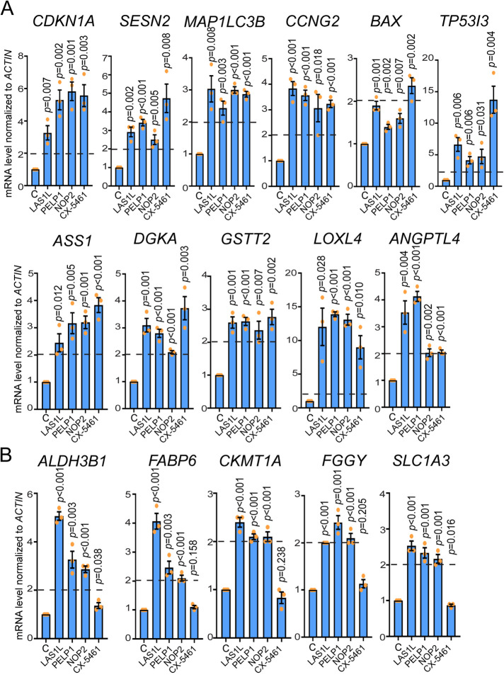 FIGURE 5: