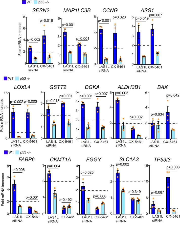 FIGURE 6: