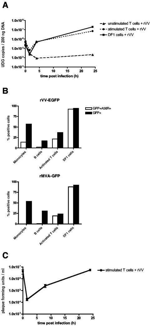 FIG. 7.