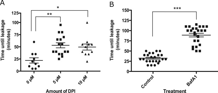 FIGURE 5: