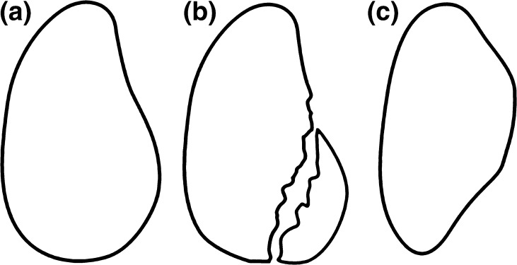 Fig. 1