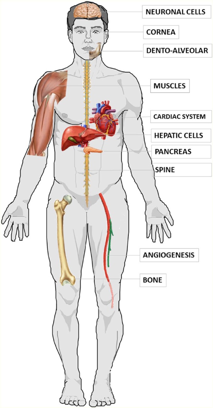 Figure 3.