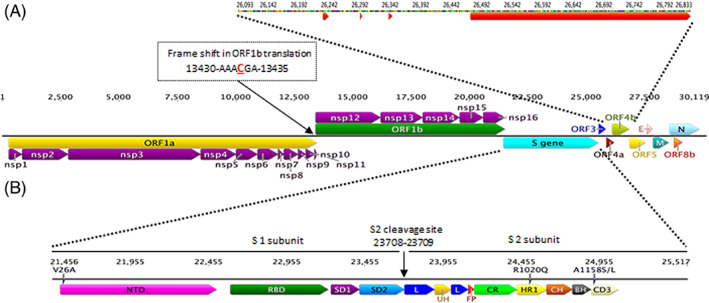 FIGURE 1