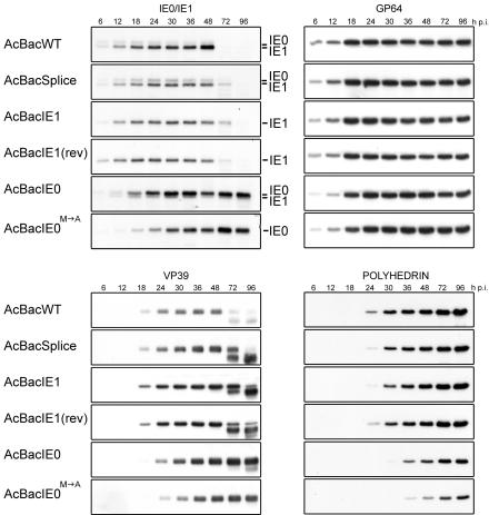 FIG. 6.