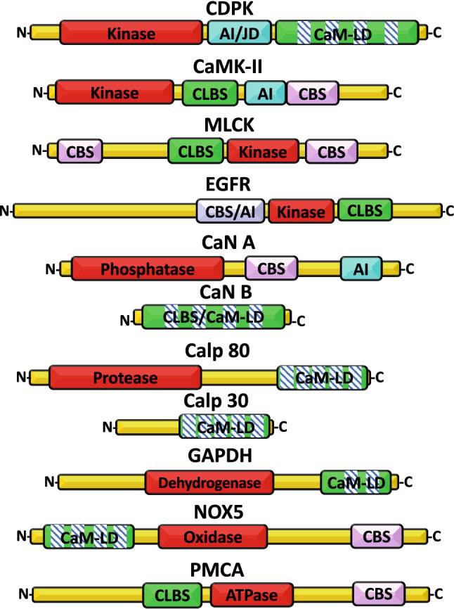 Fig. 1