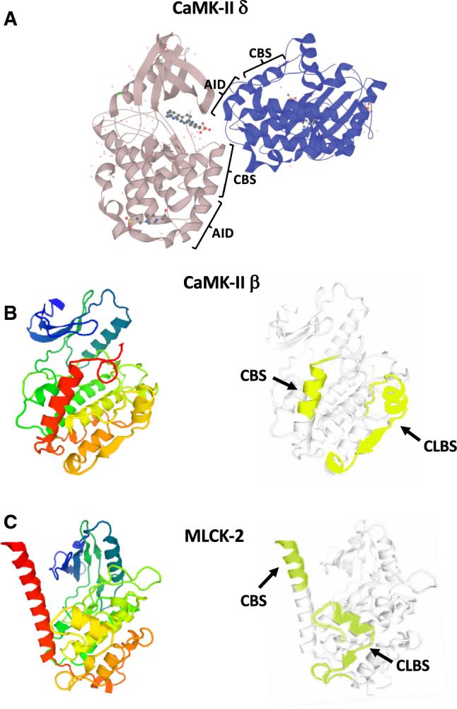 Fig. 4