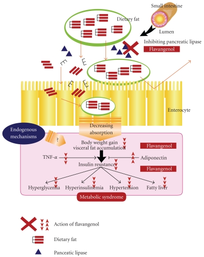 Figure 7