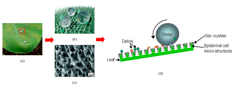 Figure 10